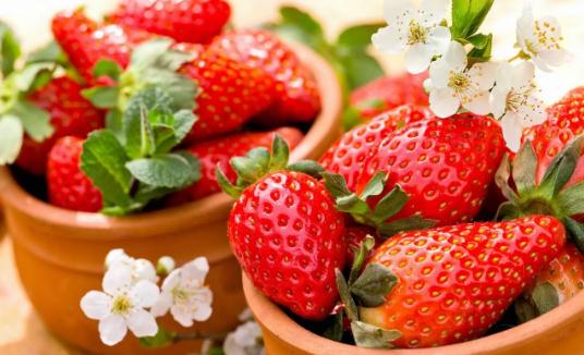草莓能冷藏吗,草莓常温放三天可以吗